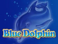 blue dolphin