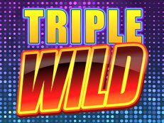 Triple Wild slot amatic