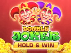 Double Joker Hold & Win slot wildcat gaming